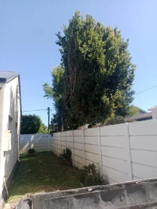 green waste removal