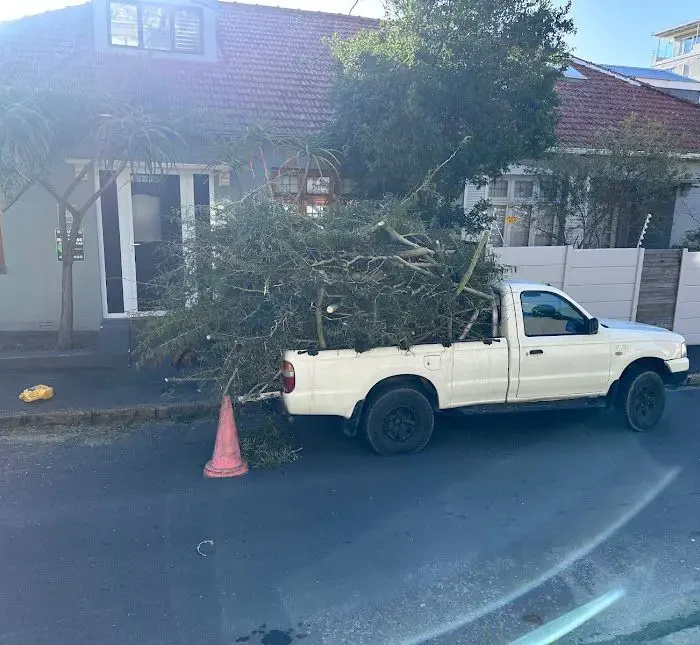 emergency tree cutting service