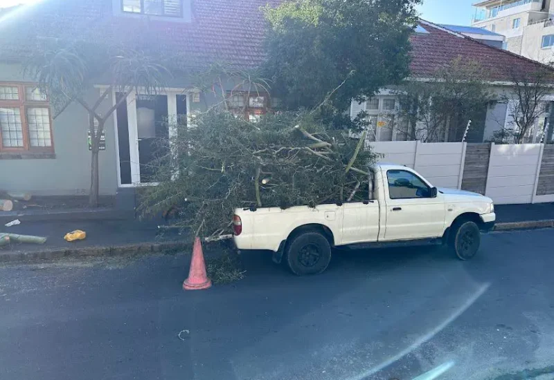 emergency tree cutting service