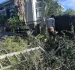 Tree Trimming and Pruning Mistakes That Can Damage Healthy Trees