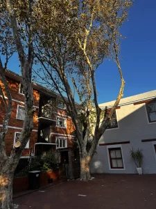 a tall tree is standing in front of the house and capetree is inspecting to removal its stumps safely without harming residential property